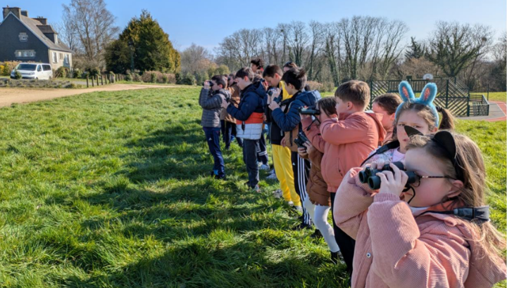 "Drôle d’oiseau" rapproche écoliers et personnes âgées